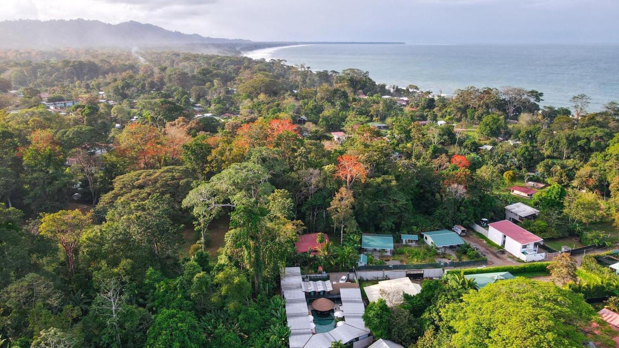 Saranda Boutique Hotel Puerto Viejo de Talamanca ภายนอก รูปภาพ