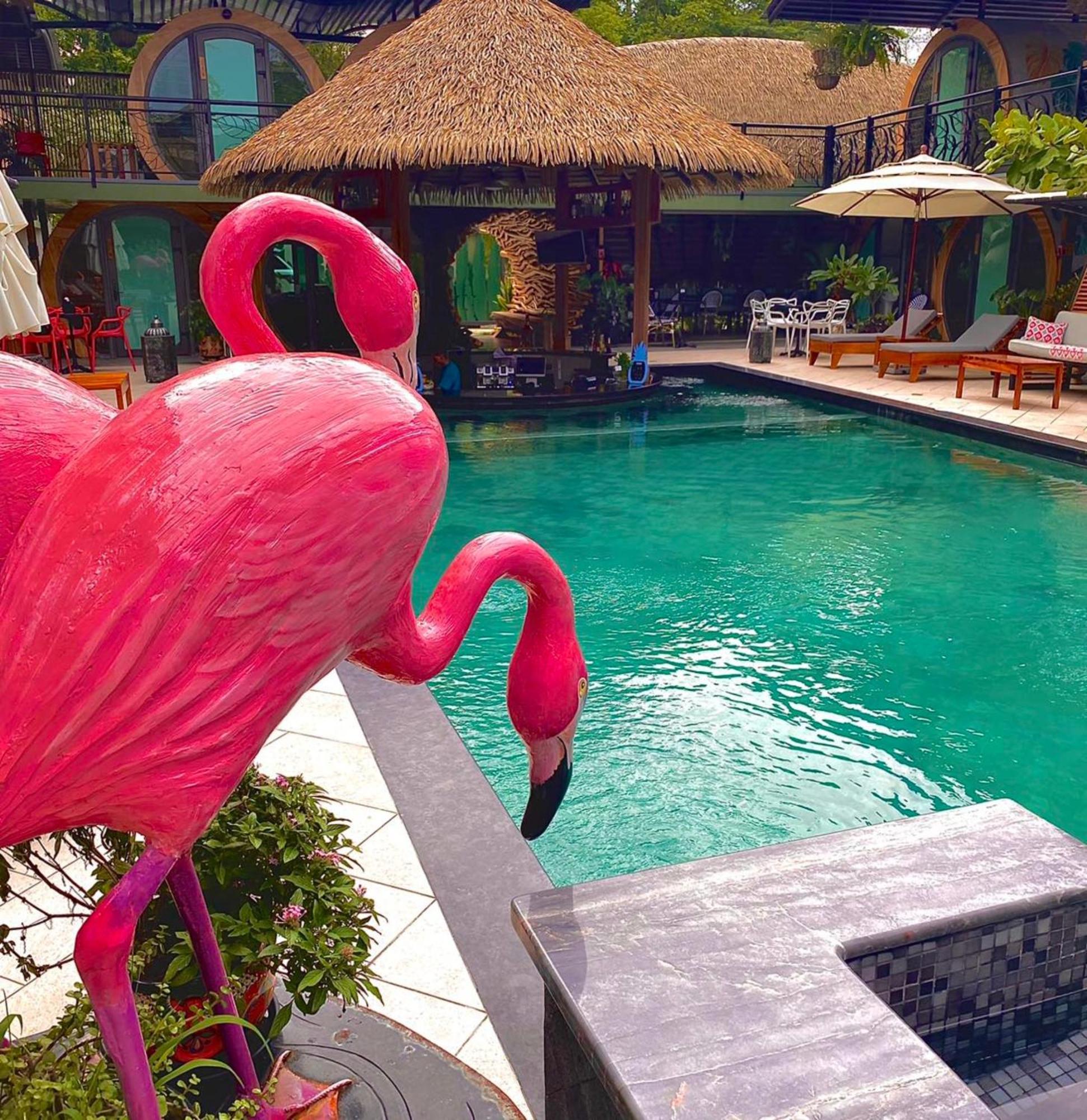 Saranda Boutique Hotel Puerto Viejo de Talamanca ภายนอก รูปภาพ